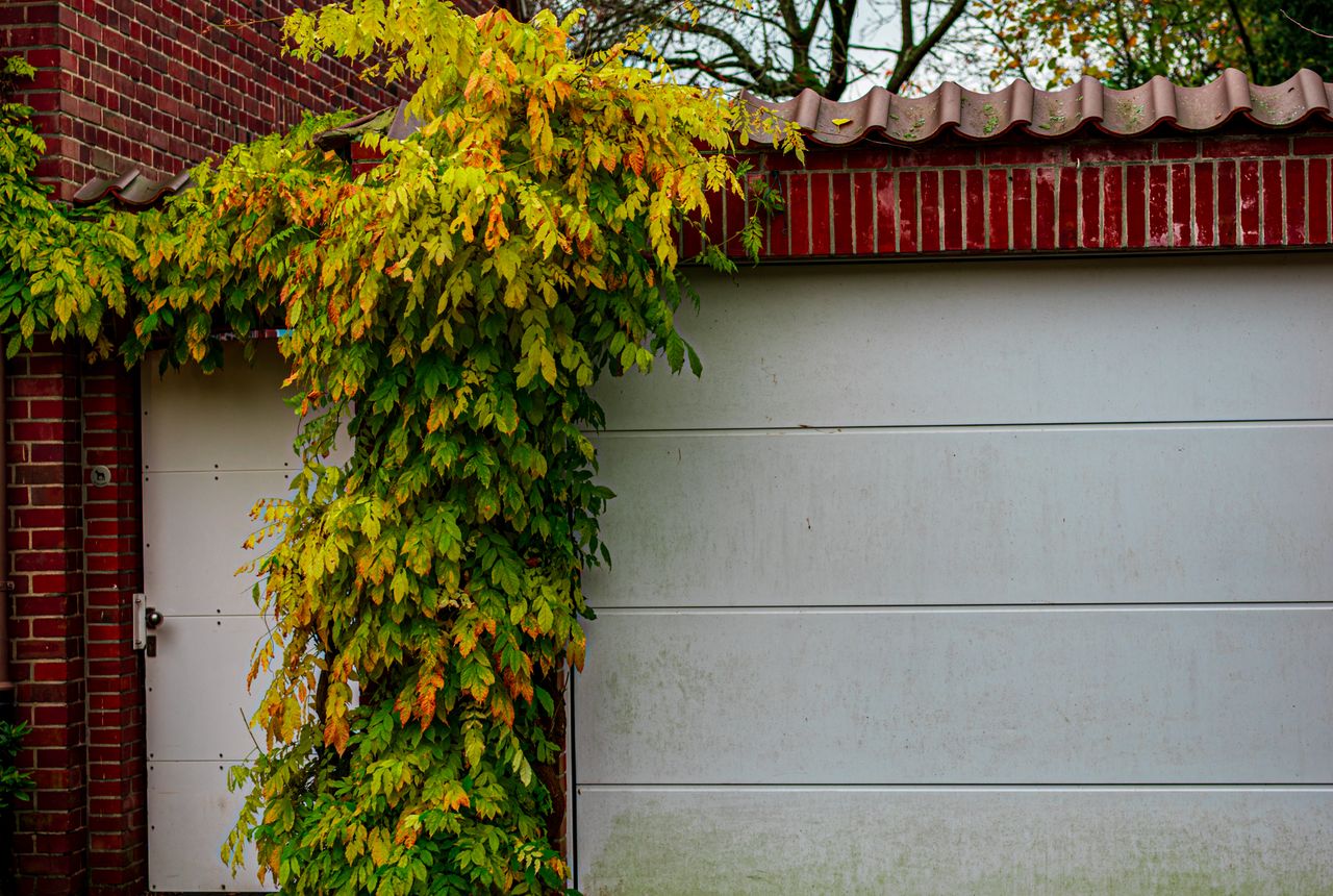 Garage door service in Freehold, NJ